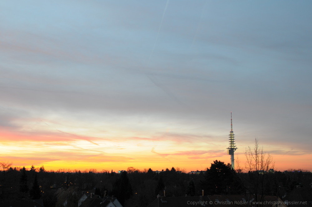 DSC_3492.JPG