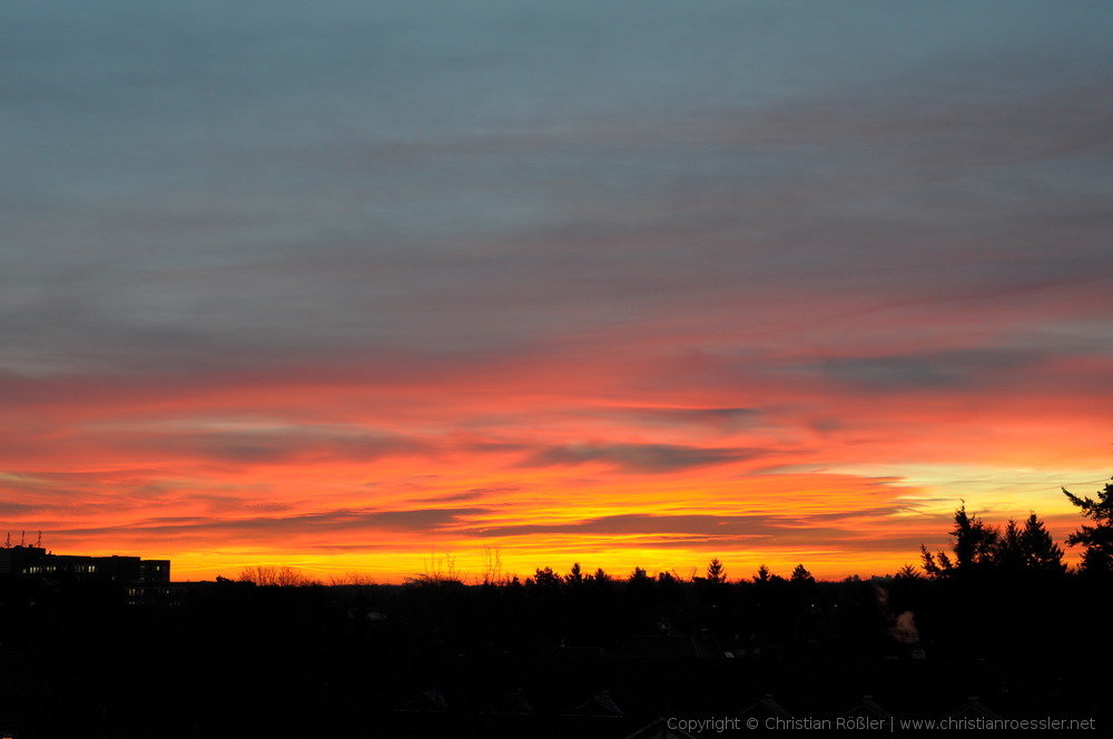 DSC_3493.JPG