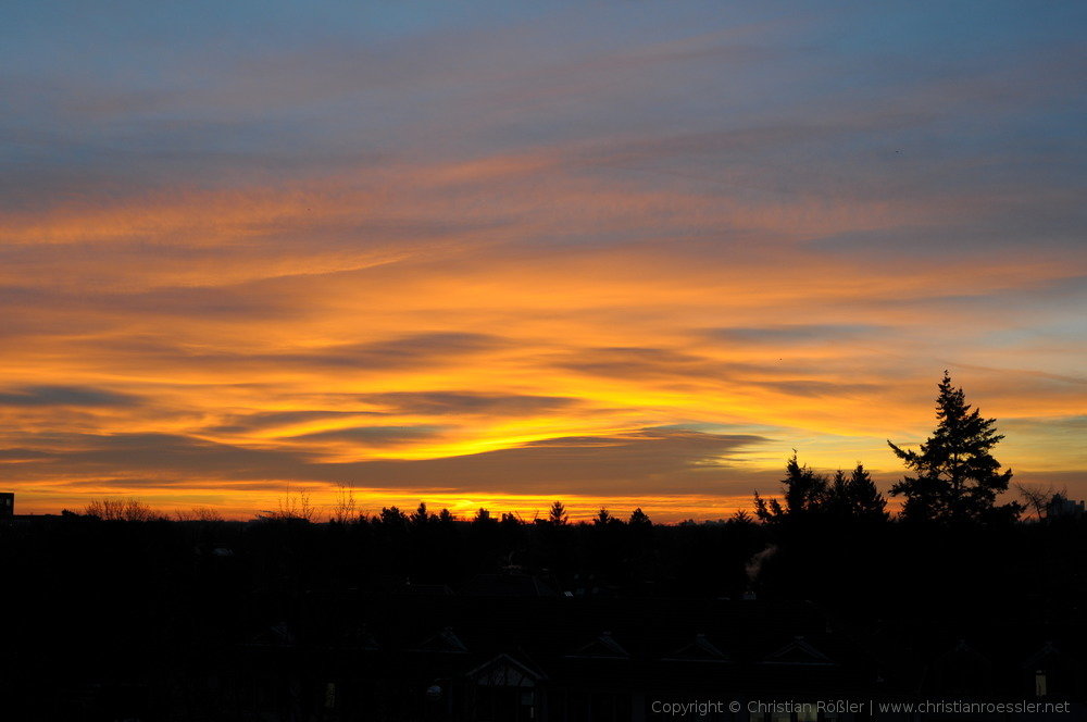DSC_3506.JPG